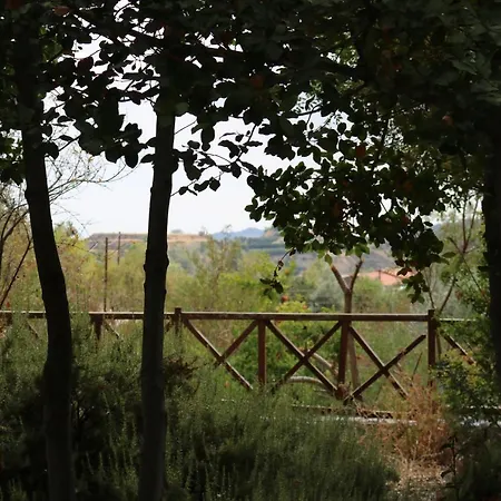 Σπίτι διακοπών Tsangaris House In Action