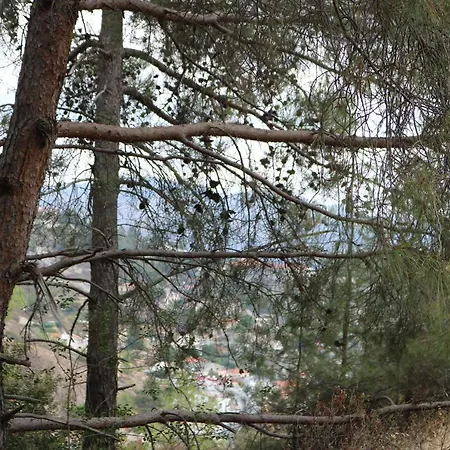Tsangaris House In Action Σπίτι διακοπών