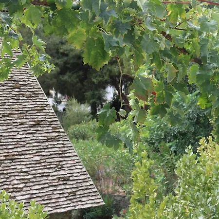 Tsangaris House In Action Σπίτι διακοπών