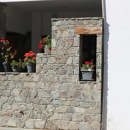 Tsangaris House In Action Limassol