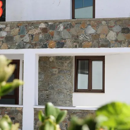 Tsangaris House In Action *